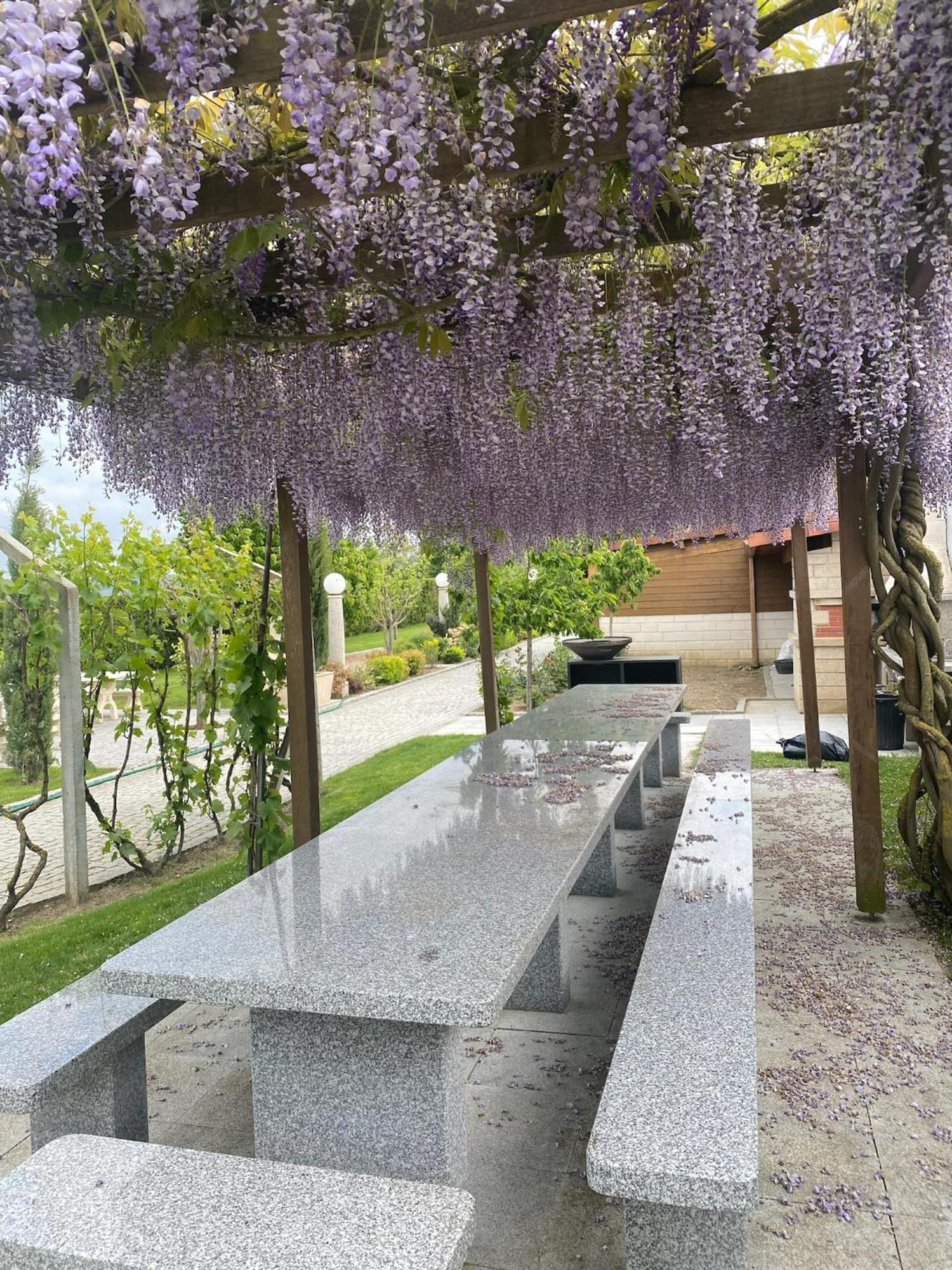 Gites Des Sablons Châtillon-sur-Marne Buitenkant foto